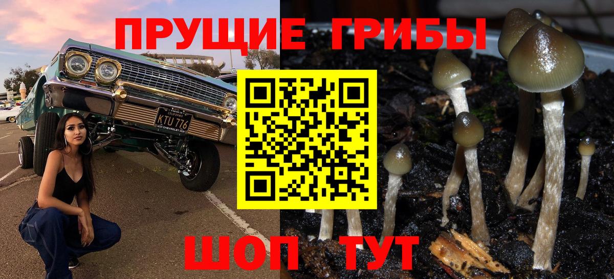 Галлюциногенные грибы мухоморы Советская Гавань