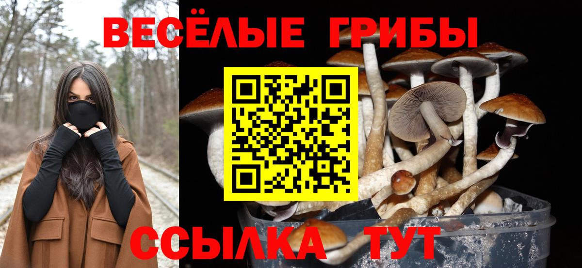 Псилоцибиновые грибы ЛСД  Вход с VPN  Советская Гавань 